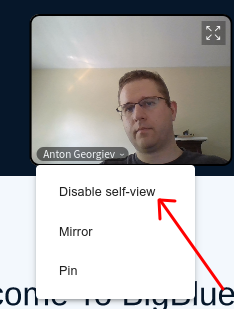 Disable self-view